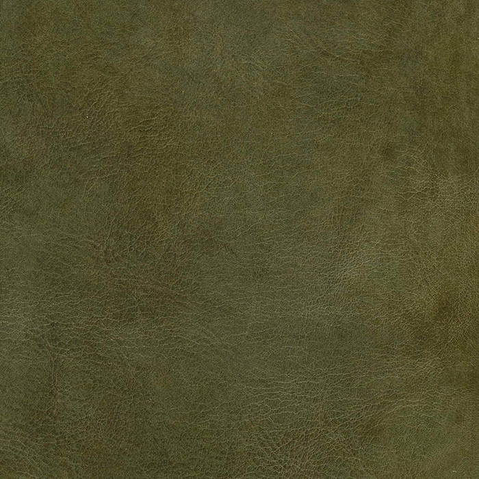 Hawkeye Moss Burnished