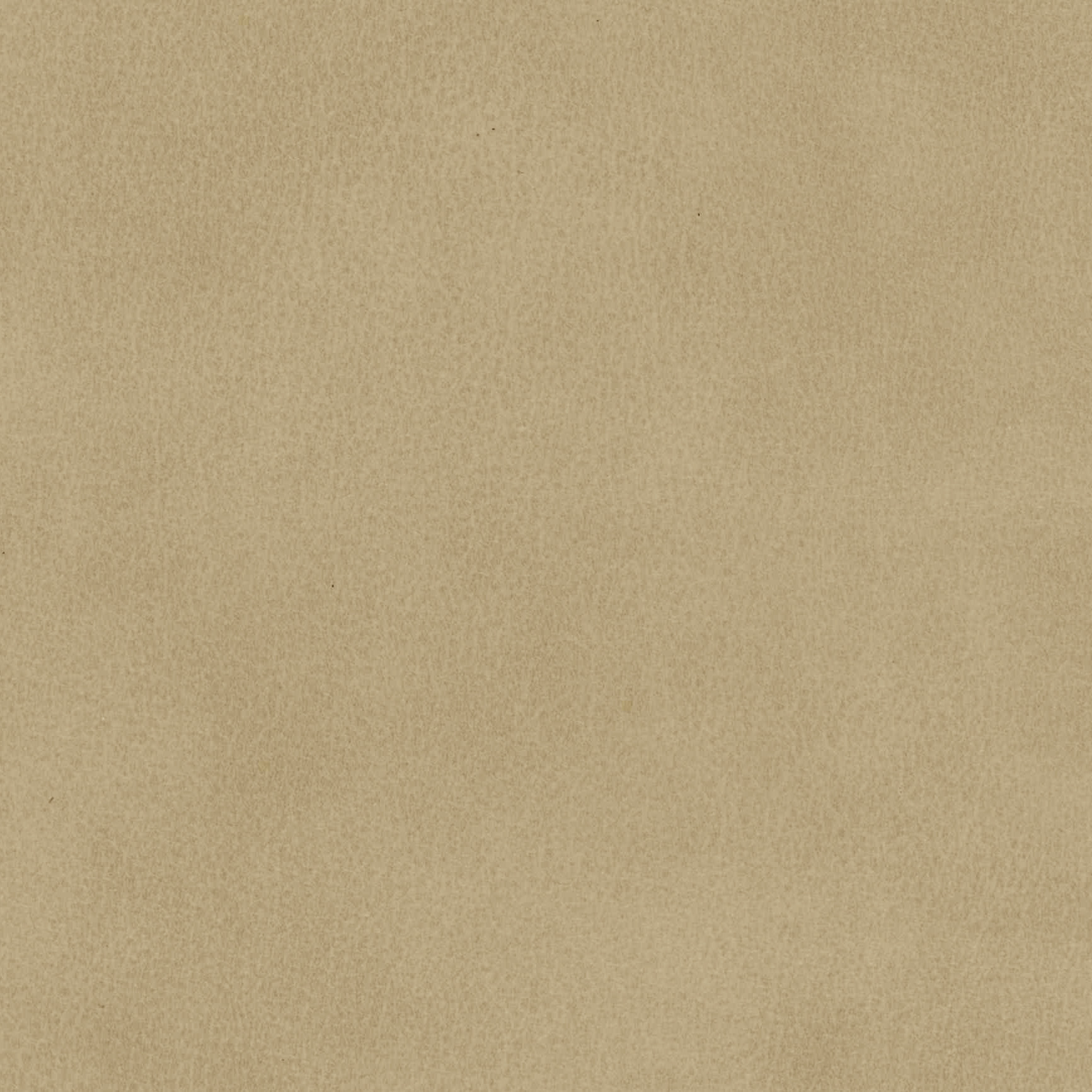 Saybrook Taupe