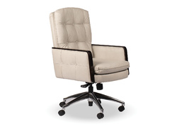 STEAGALL SWIVEL TILT